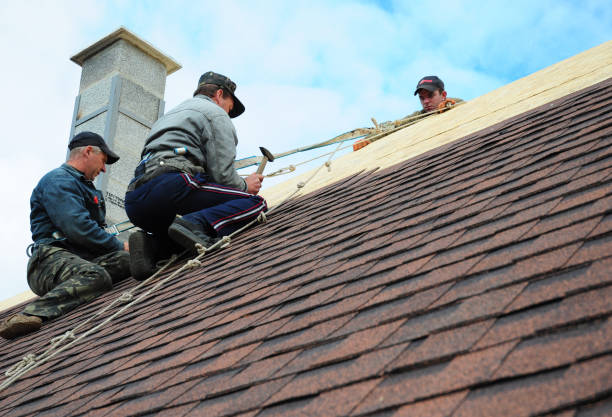 Best Shingle Roofing Installation  in Medicine Lodge, KS